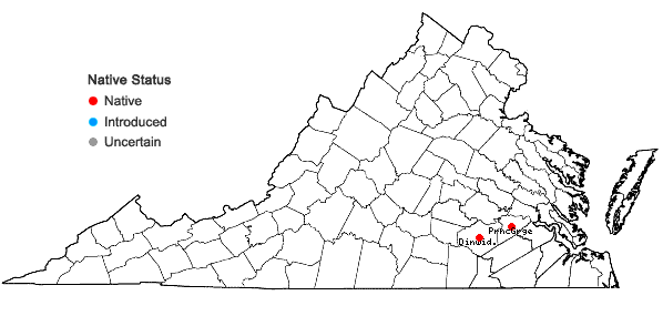 Locations ofAndropogon mohrii (Hack.) Hack. ex Vasey in Virginia