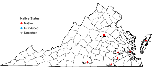 Locations ofAndropogon perangustatus Nash in Virginia