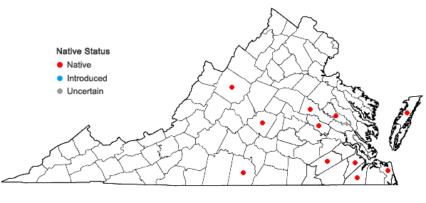 Locations ofAndropogon virginicus L. var. decipiens C. Campbell in Virginia