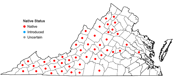 Locations ofAnemone lancifolia Pursh in Virginia