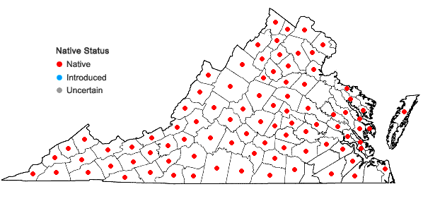 Locations ofAnemone virginiana L. var. virginiana in Virginia