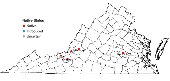 Locations ofAneura sharpii Inoue & N.G. Mill. in Virginia