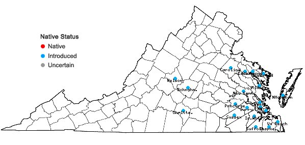 Locations ofAnoda cristata (L.) Schlecht. in Virginia