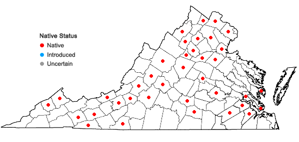 Locations ofAnomodon minor (Hedwig) Lindberg in Virginia