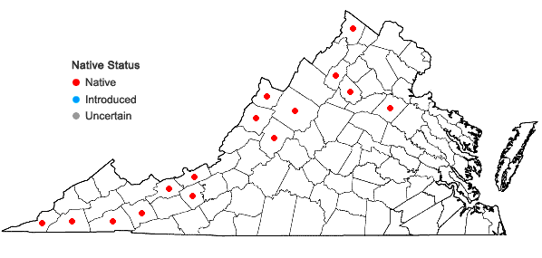 Locations ofAnomodon viticulosus (Hedw.) Hooker & Taylor in Virginia