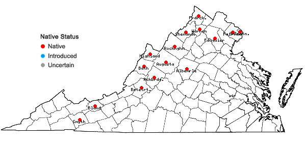 Locations ofAntennaria howellii Greene ssp. neodioica (Greene) Bayer in Virginia