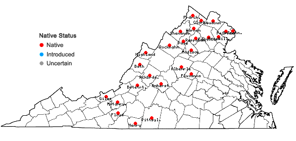 Locations ofAntennaria neglecta Greene in Virginia