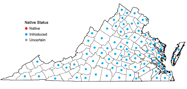 Locations ofAnthemis arvensis L. in Virginia