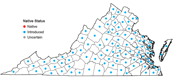 Locations ofAnthoxanthum odoratum L. ssp. odoratum in Virginia