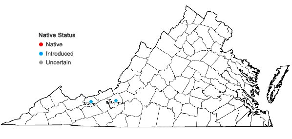 Locations ofAnthriscus sylvestris (L.) Hoffman in Virginia