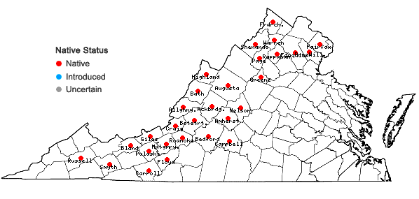 Locations ofApocynum androsaemifolium L. in Virginia