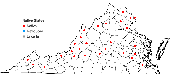 Locations ofApocynum sibiricum Jacq. in Virginia