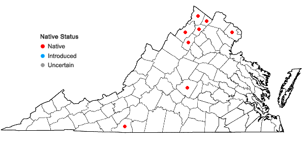 Locations ofArabis patens Sullivant in Virginia