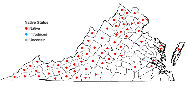Locations ofAralia nudicaulis L. in Virginia