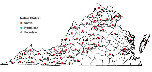 Locations ofAralia nudicaulis L. in Virginia