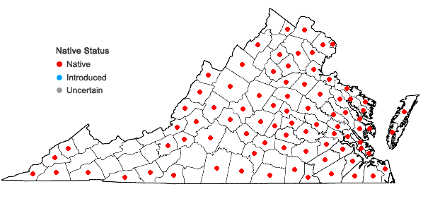 Locations ofAralia spinosa L. in Virginia