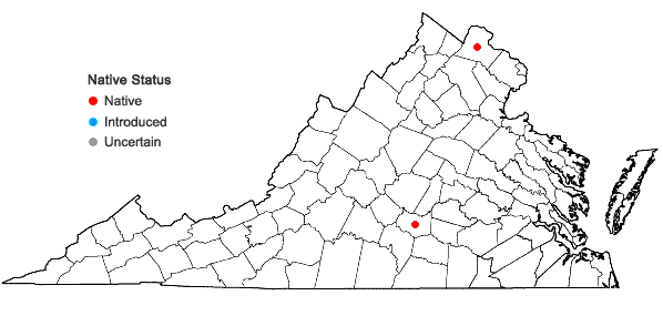 Locations ofArchidium ohioense Schimp. ex Müll. Hal. in Virginia