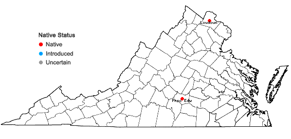 Locations ofArchidium ohioense Schimp. ex Müll. Hal. in Virginia
