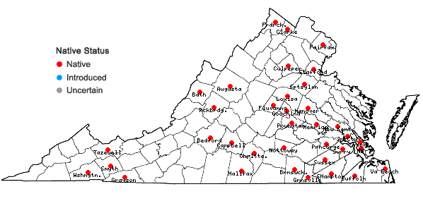 Locations ofArisaema triphyllum (L.) Schott ssp. pusillum (Peck) Huttleston in Virginia
