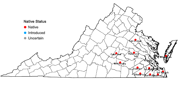 Locations ofAristida lanosa Muhl. ex Ell. in Virginia