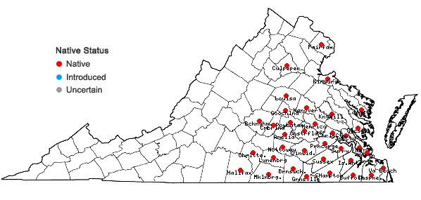Locations ofArnica acaulis (Walt.) B.S.P. in Virginia
