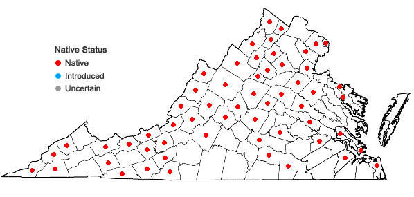 Locations ofAronia melanocarpa (Michx.) Elliott in Virginia