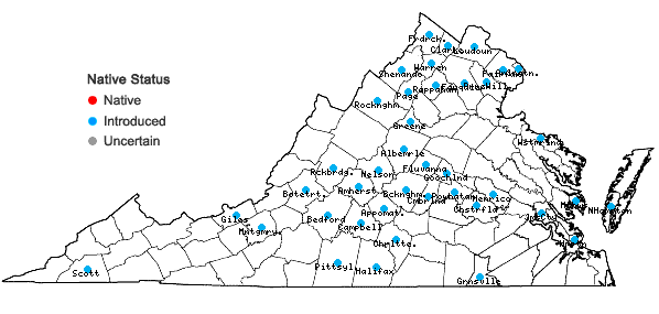 Locations ofArtemisia annua L. in Virginia
