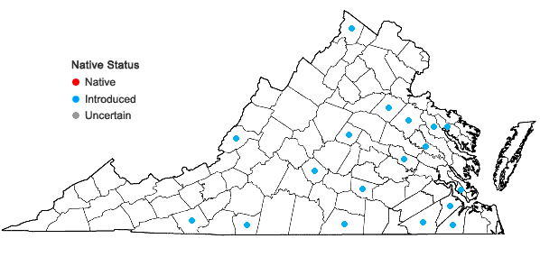 Locations ofArtemisia ludoviciana Nutt. ssp. ludoviciana in Virginia