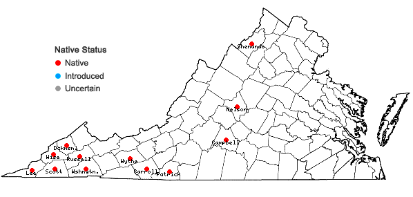 Digital Atlas Of The Virginia Flora 