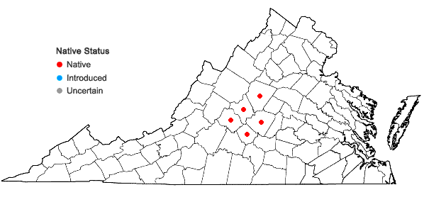 Locations ofAsarum chueyi B.T. Sinn in Virginia