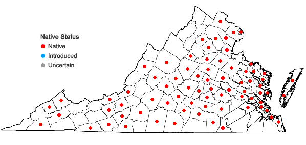 Locations ofAsclepias incarnata L. var. pulchra (Ehrh. ex Willd.) Pers. in Virginia