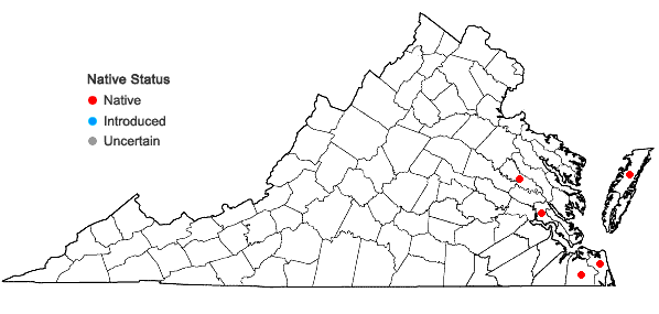 Locations ofAsclepias lanceolata Walt. in Virginia