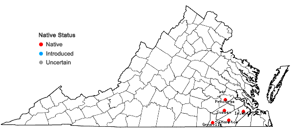 Locations ofAsclepias longifolia Michx. in Virginia