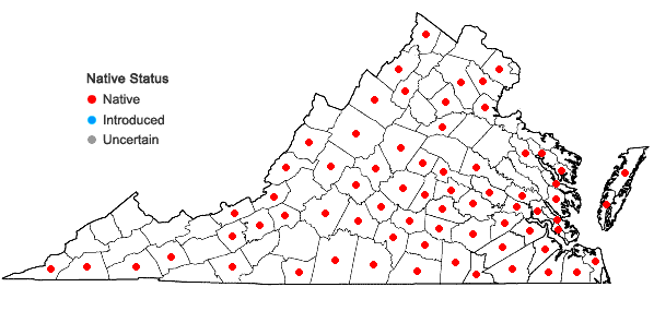 Locations ofAsclepias variegata L. in Virginia