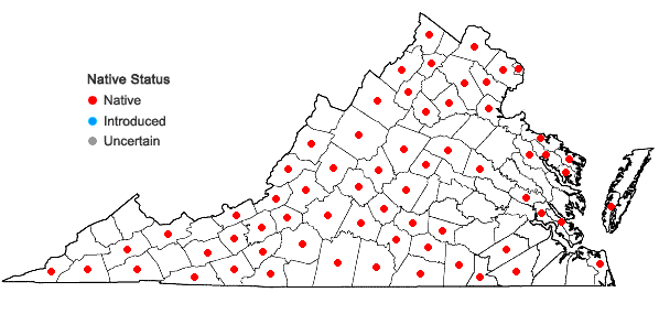Locations ofAsclepias verticillata L. in Virginia