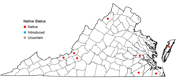 Locations ofAspiromitus punctatus (L.) Schljakov   in Virginia