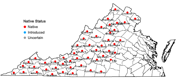 Locations ofAsplenium montanum Willd. in Virginia