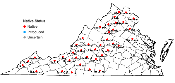 Locations ofAsplenium pinnatifidum Nuttall in Virginia