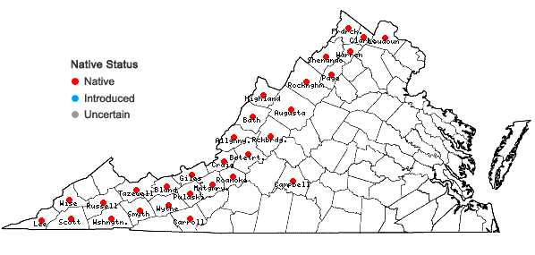 Locations ofAsplenium ruta-muraria L. var. cryptolepis (Fern.) Wherry in Virginia