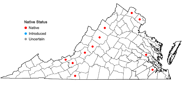 Locations ofAsplenium ×ebenoides R.R. Scott in Virginia