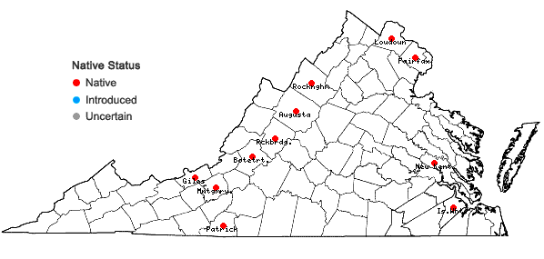 Locations ofAsplenium ×ebenoides R.R. Scott in Virginia