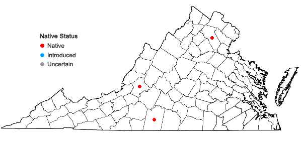 Locations ofAsplenium ×kentuckiense T.N. McCoy in Virginia