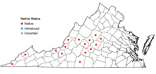 Locations ofAsplenium ×trudellii Wherry in Virginia
