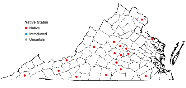 Locations ofAsterella tenella (L.) P. Beauv. in Virginia