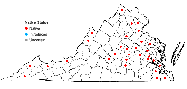 Locations ofAtrichum crispum (James) Sull. in Virginia