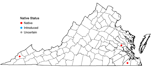 Locations ofAtrichum cylindricum (F. Weber) G.L. Sm. in Virginia