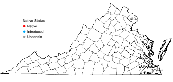 Locations ofAxonopus fissifolius (Raddi) Kuhlm. in Virginia