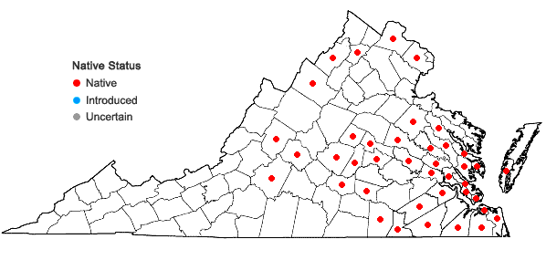 Locations ofAzolla caroliniana Willd. in Virginia