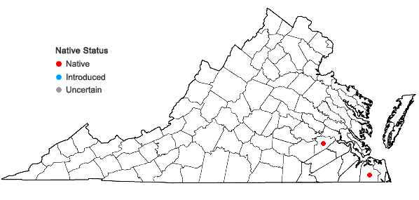 Locations ofBacopa caroliniana (Walter) B.L. Robinson in Virginia