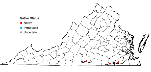 Locations ofBaptisia cinerea (Raf.) Fern. & Schub. in Virginia